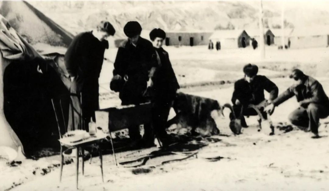 1646277003757997.jpg 1646277003757997.jpg