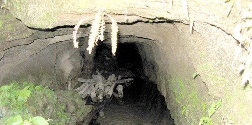 1646277041855068.png 微信图片_20220303110926.png