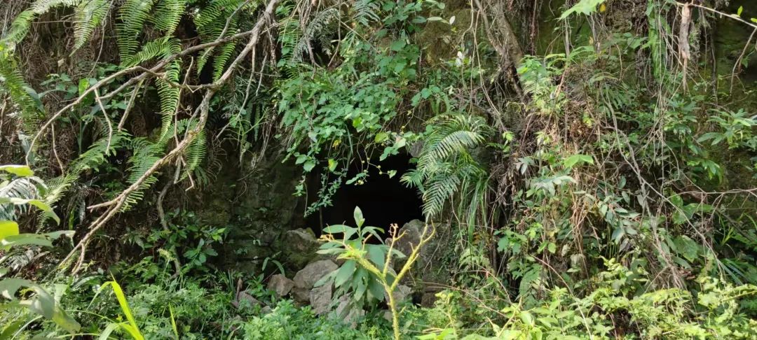 1646277046961317.jpg 1646277046961317.jpg