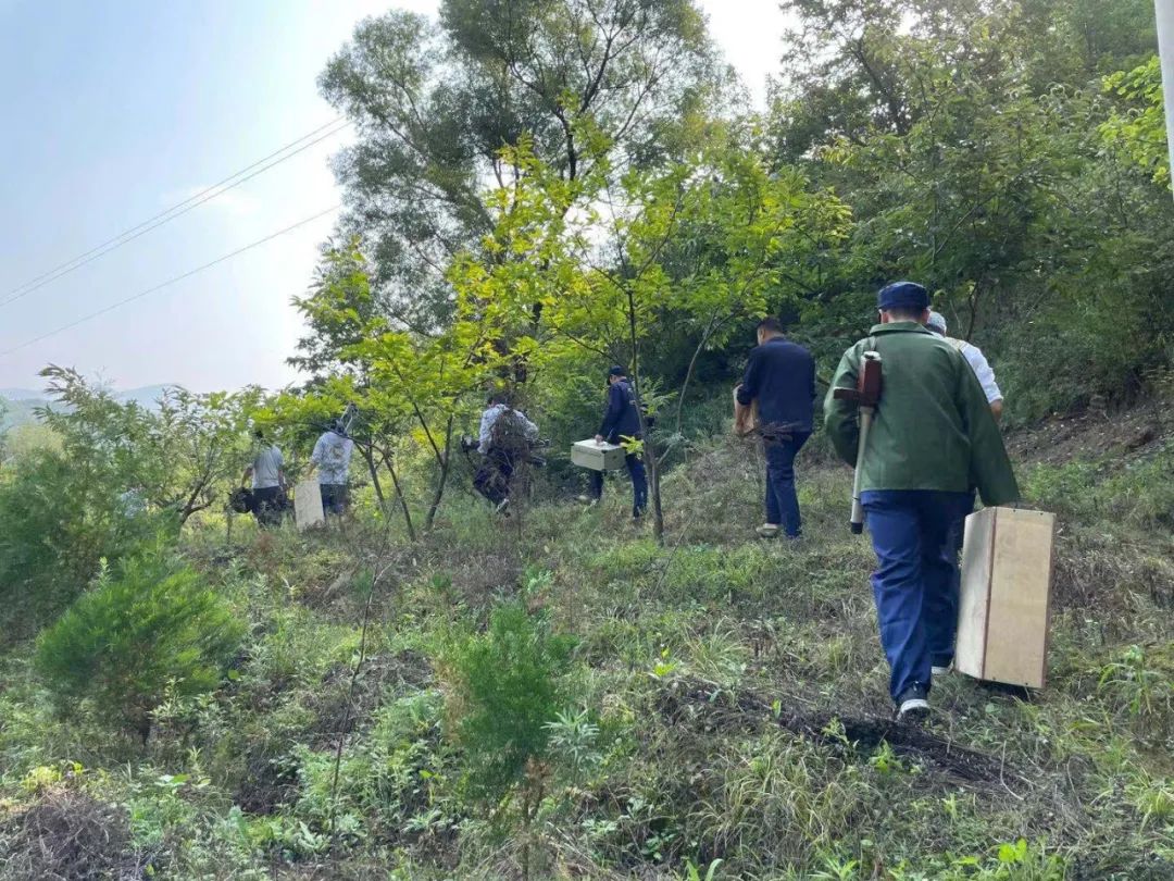 1646277087626136.jpg 1646277087626136.jpg