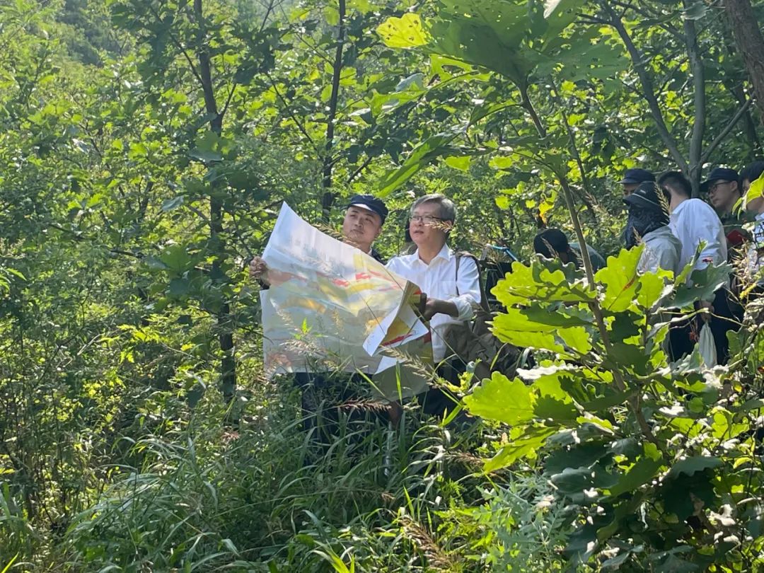 1646277100614650.jpg 1646277100614650.jpg