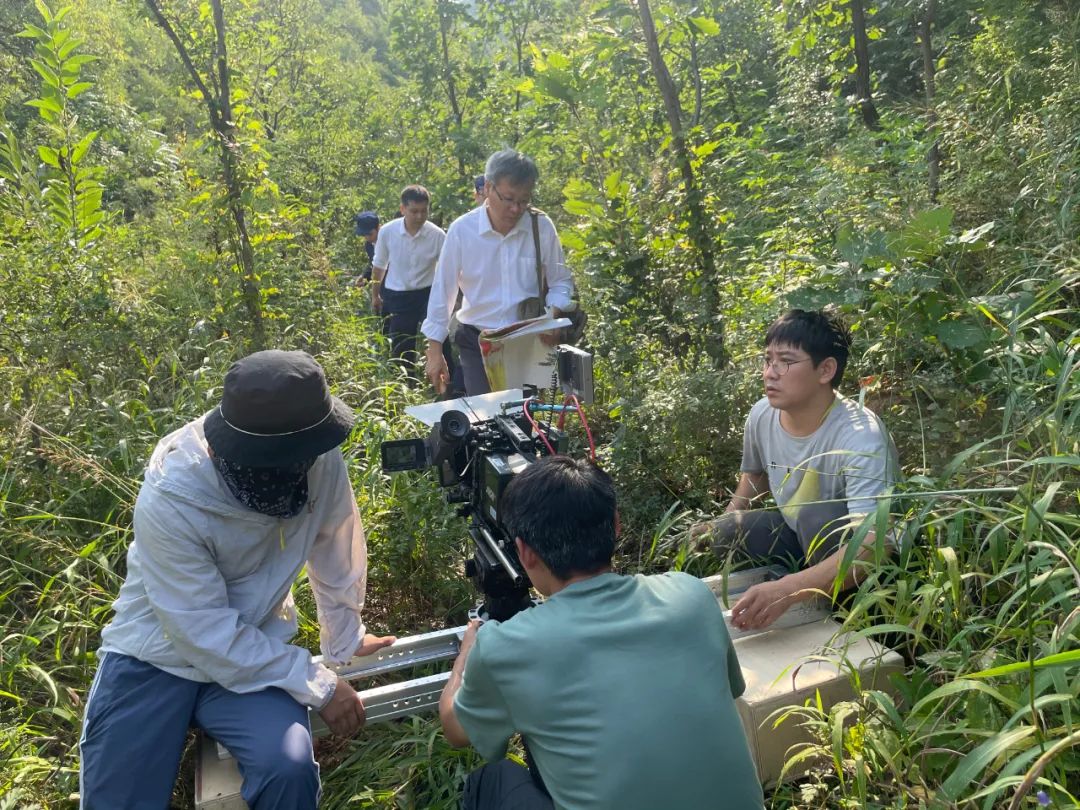 1646277112994286.jpg 1646277112994286.jpg