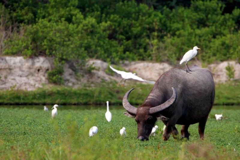 1716939396182007.jpg 1716939396182007.jpg