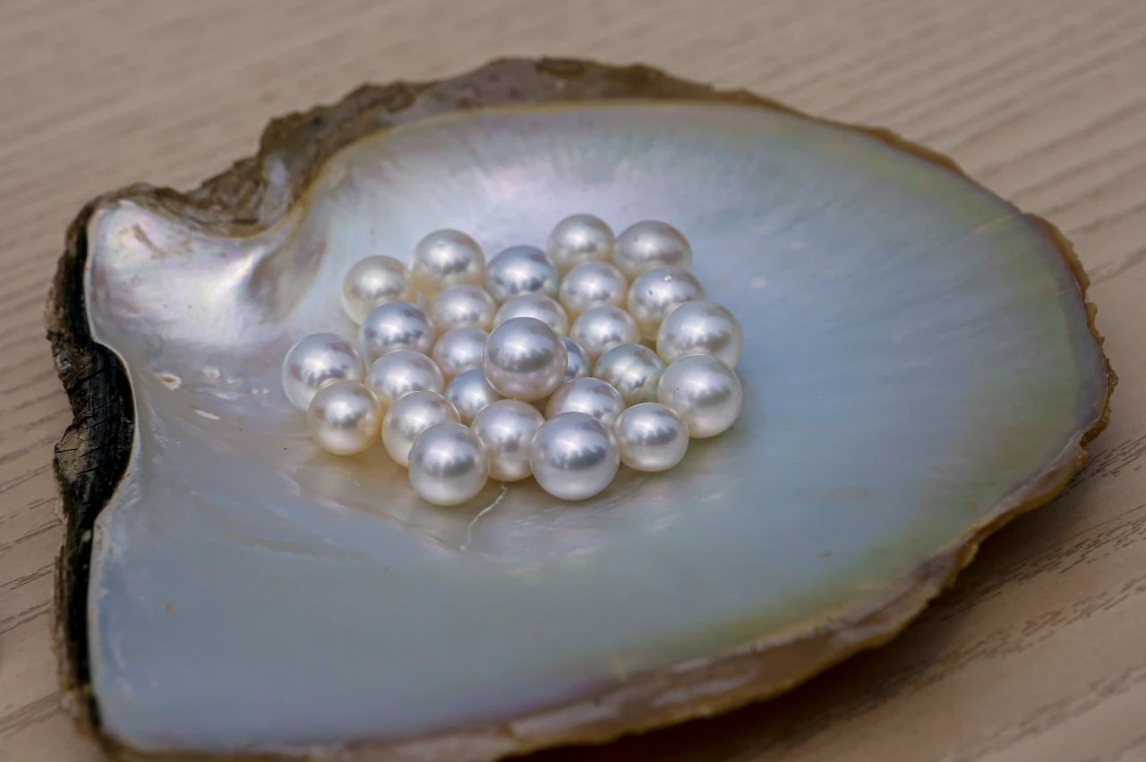 1716939406785811.jpg 1716939406785811.jpg