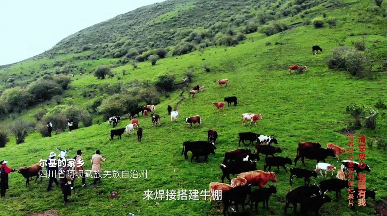 1721262319414677.jpg 1721262319414677.jpg