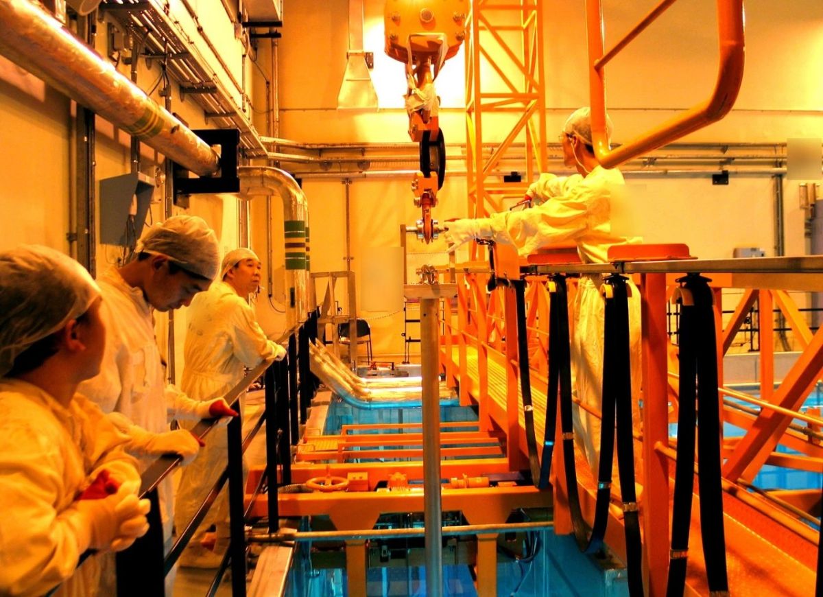 1741654239982645.jpg 1741654239982645.jpg